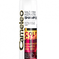 Dela Cameleo BB 02 Hair Shampoo For Colored 250 ml