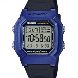 Casio W-800HM-2AVDF - CAS-W800HM2AVDF