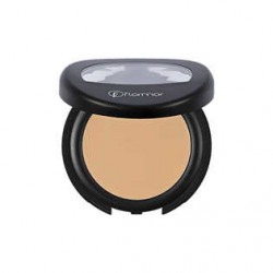 Flormar Full Coverage Concealer 02