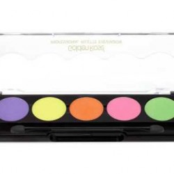 Golden Rose Professional Palette Eyeshadow 107