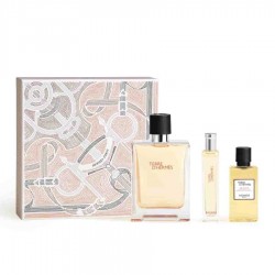 Terre D'Hermes Edt 100 ml Set