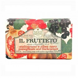 Nesti Dante Il Frutteto Blackcurrant 250g